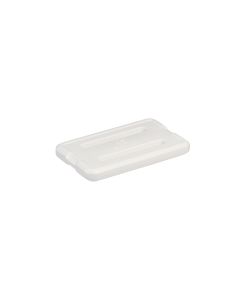 Stanley Icepack Small