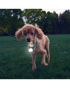 Nite Ize SpotLit Ladattava pantavalo, valkoinen