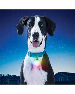 SpotLit XL Ladattava LED-pantavalo, Disc-O 