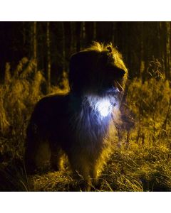 Nite Ize SpotLit LED -pantavalo, valkoinen
