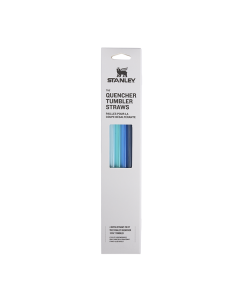 Stanley pillit Quencher H2.0 Flowstate Tumbler 0,89L 4 kpl, Blue